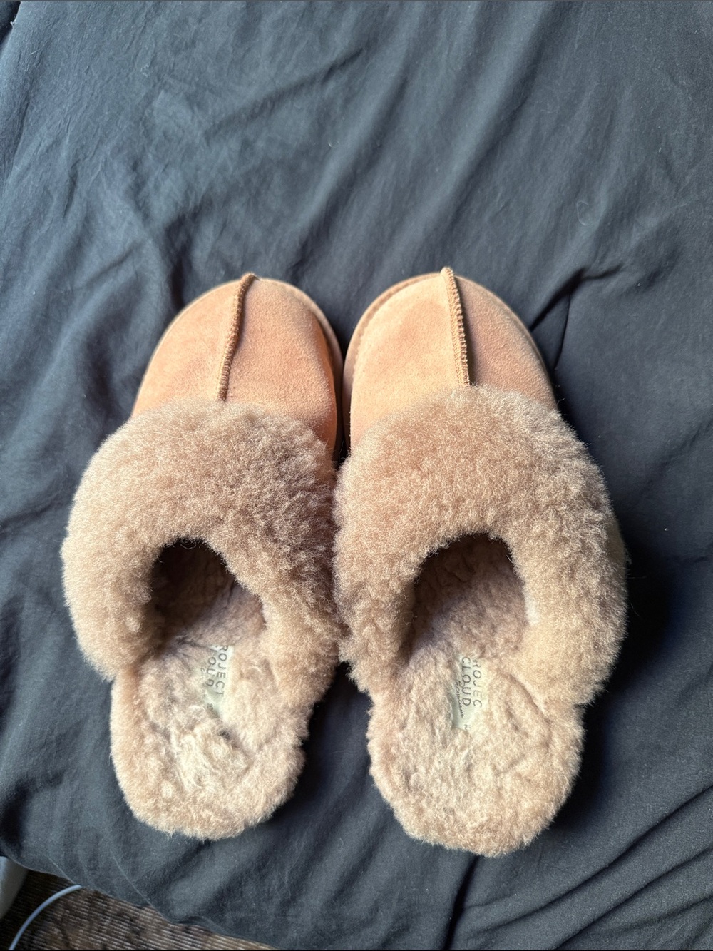 Cozy Project Cloud Shearling Mule Slippers in Warm chestnut Brown